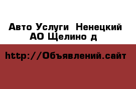 Авто Услуги. Ненецкий АО,Щелино д.